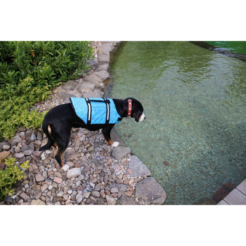 Dog Swimmer plávacia vesta pre psa modrá 1