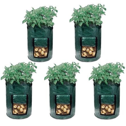 Merco Veggie Bag 23 x 28 cm vrece na pestovanie zeleniny 5