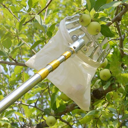 Merco Telescopic Fruit Picker 4M česač ovocia 1