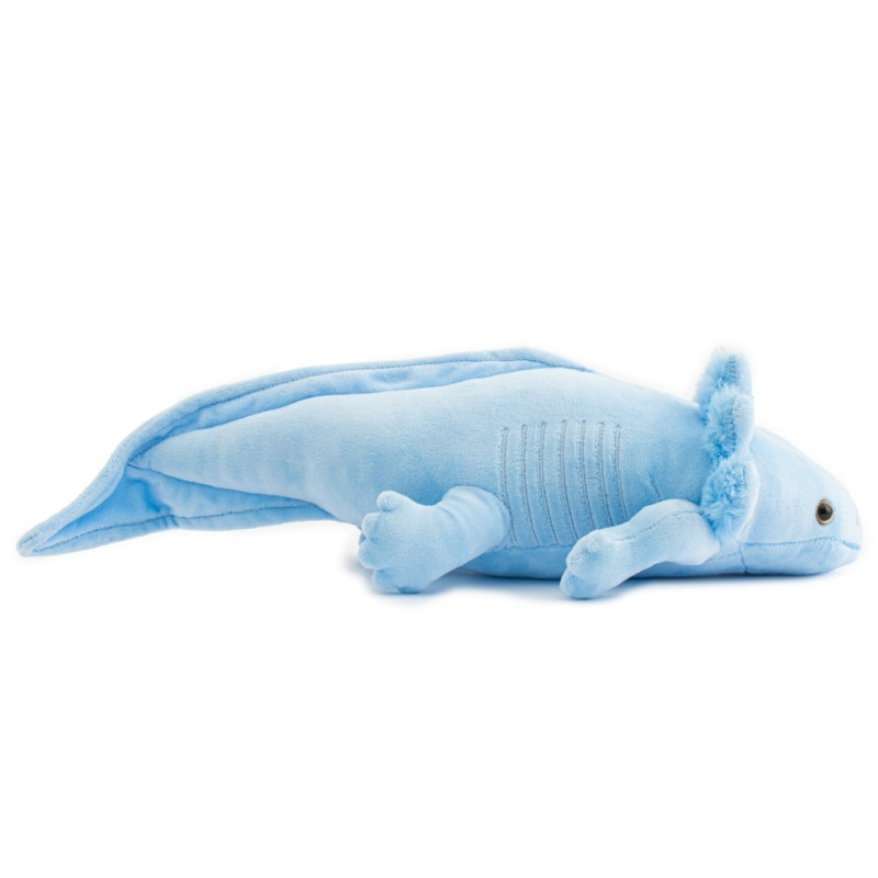 Plyšová hračka Axolotl Baby Mix 45 cm modrá 2