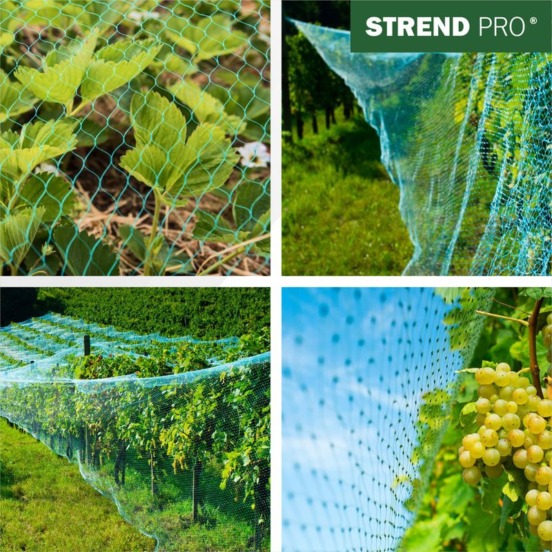 Sieť Strend Pro, 4x10 m, oko 18 mm, proti vtákom, PE 5