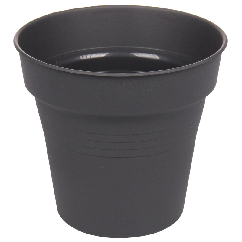 Camelie kvetináč 32 antracitová