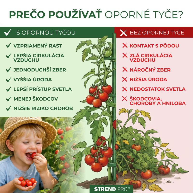 Tyč Garden KBT 900/10-12 mm, bal. 10 ks, bambus, oporná k rastlinám a paradajkám 5