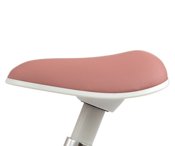 Detské odrážadlo kolo Milly Mally Skippy pink 5