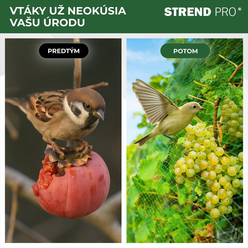 Sieť Strend Pro, 4x10 m, oko 18 mm, proti vtákom, PE 2