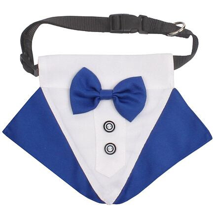 Formal motýlik pre psov modrá