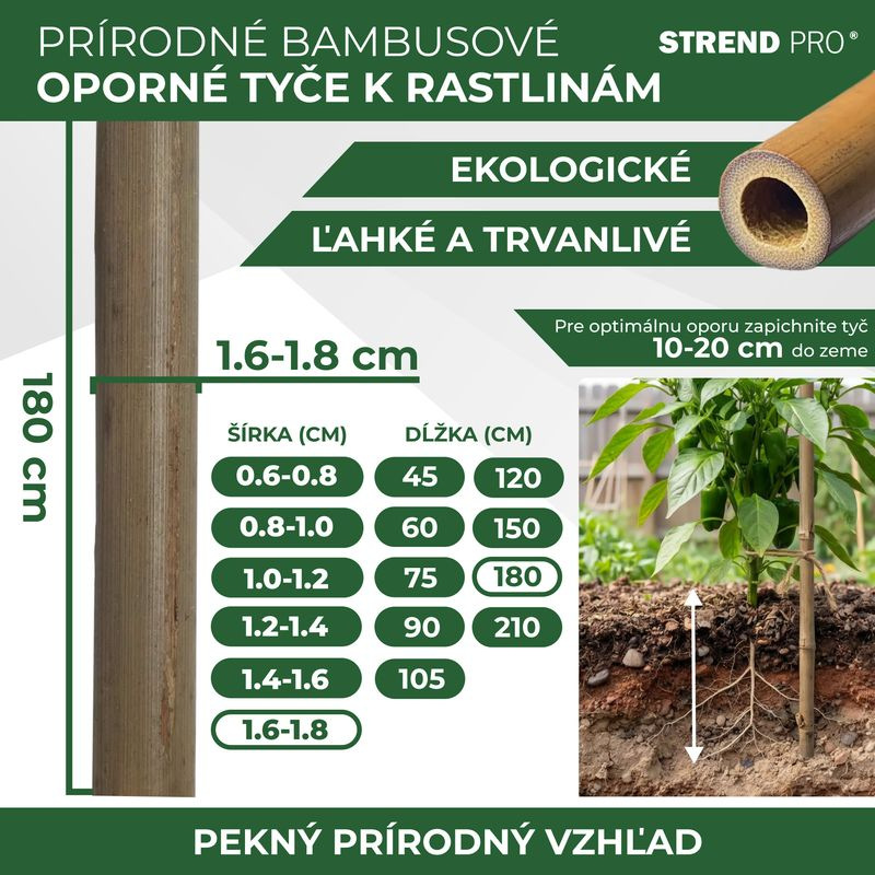 Tyč Garden KBT 1800/16-18 mm, bal. 10 ks, bambus, oporná k rastlinám 2