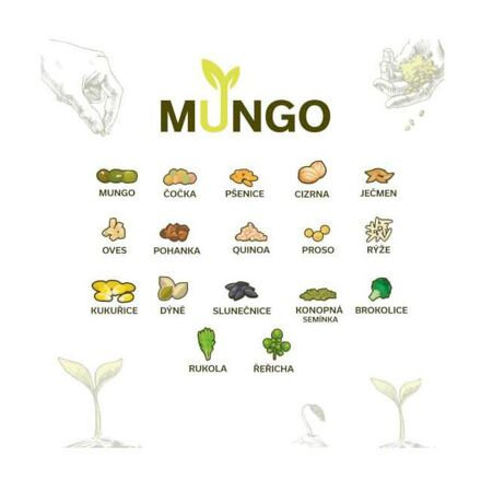 Mungo klíčiaca miska zelená 4