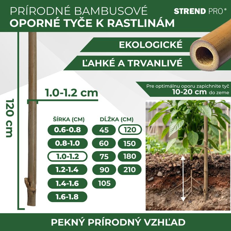 Tyč Garden KBT 1200/10-12 mm, bal. 10 ks, bambus, oporná k rastlinám 2