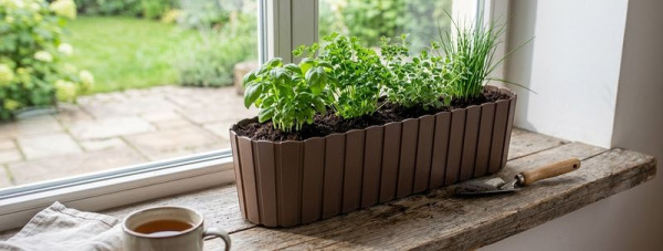 Kvetináč BOARDEE Case 587x144x130 mm, hnedý 1