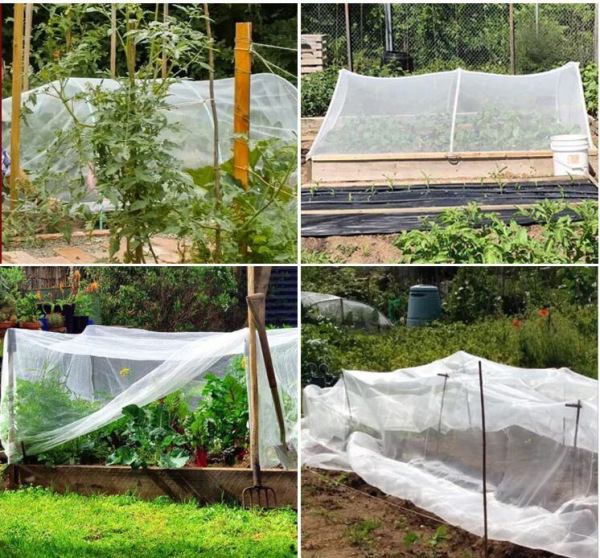 Garden Mesh sieť proti hmyzu a vtákom 2,5 x 5 m 4