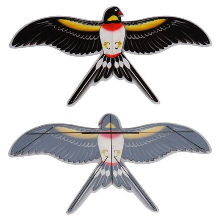 Swallow Kite lietajúci drak 3
