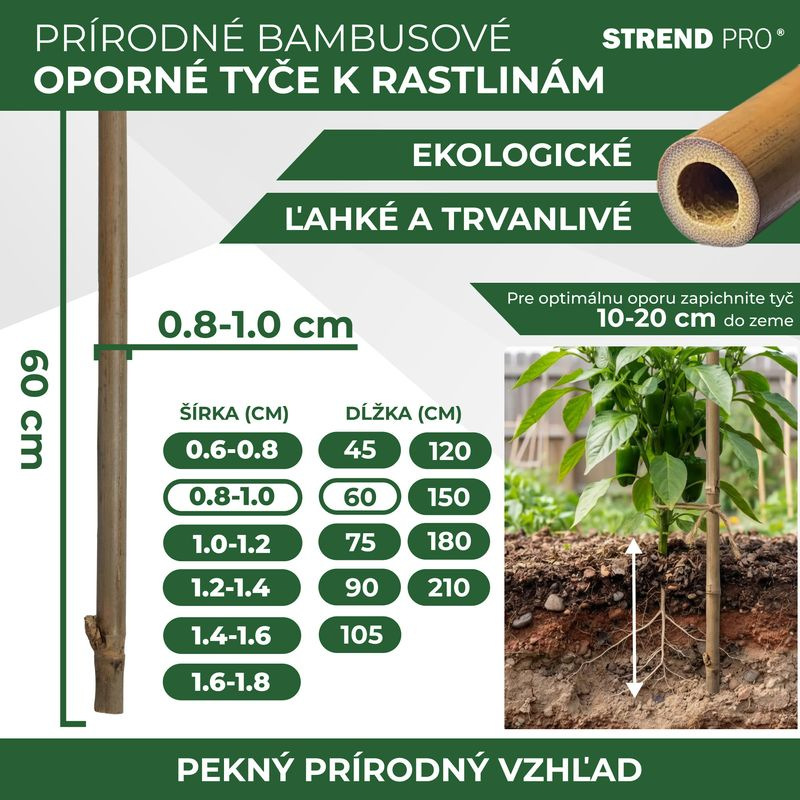 Tyč Garden KBT 600/8-10 mm, bal. 10 ks, bambus, oporná k rastlinám 2