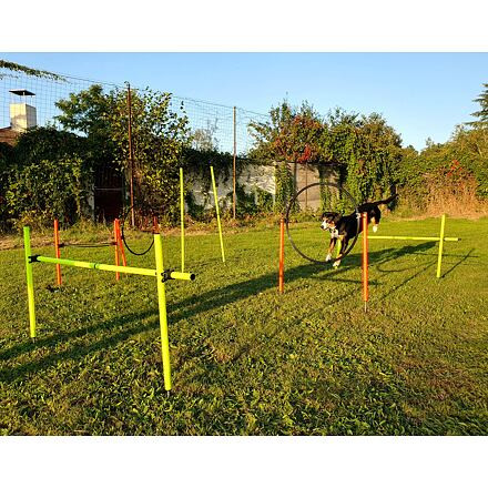 Merco Dog Multi agility prekážky pre psov 1