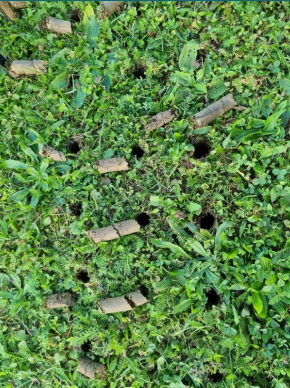 Prevzdušňovač Strend Pro Garden, rúrkový, 4 hrotý, 30x102 cm 1