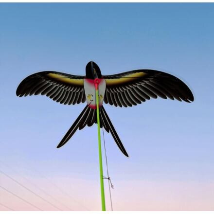 Swallow Kite lietajúci drak 1