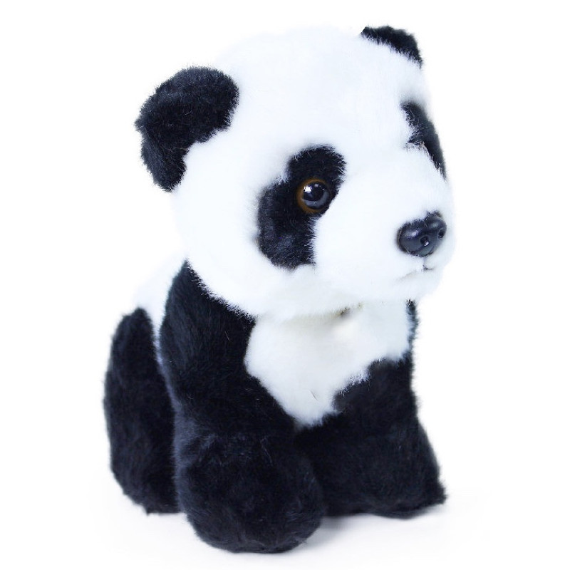 Panda sediaca