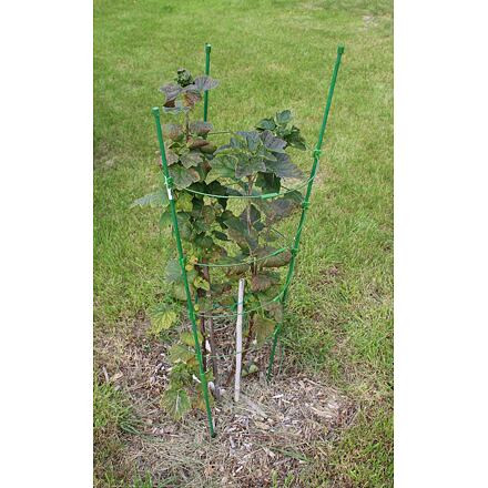 Merco Climber opora pre rastliny 75cm 3