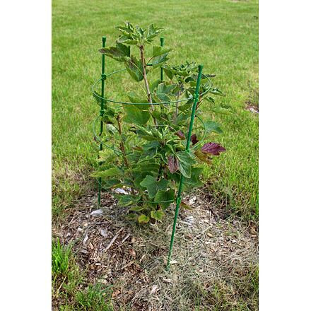 Merco Climber opora pre rastliny 75cm 1