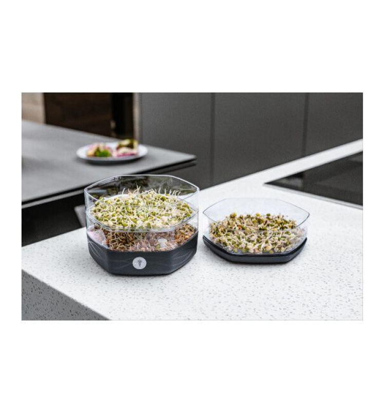 Plastkon Mungo klíčiaca miska sivá 2