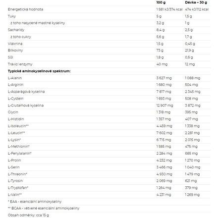 100% Whey Protein 1000 g 2