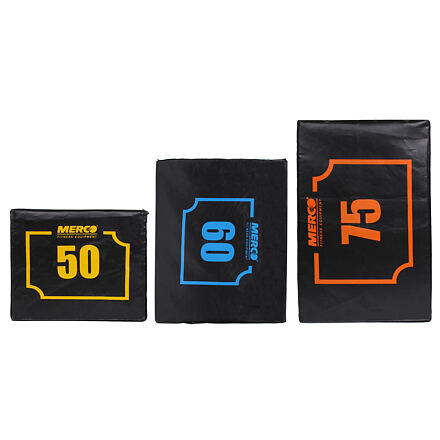 Plyo Box Cube plyometrický blok 1