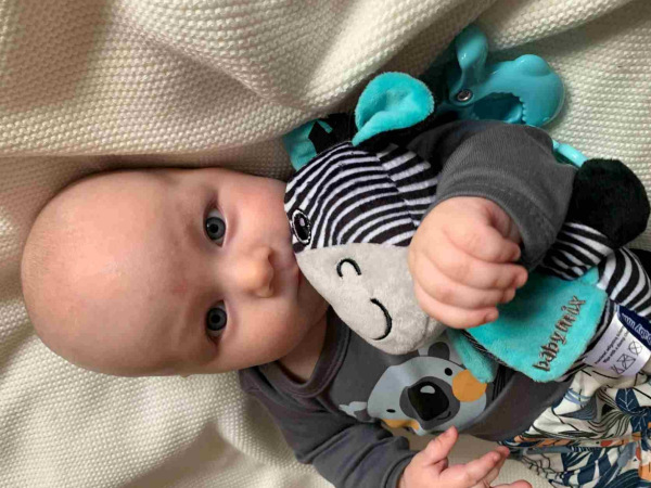 Edukačná hrajúca plyšová hračka s klipom Baby Mix zebra 2