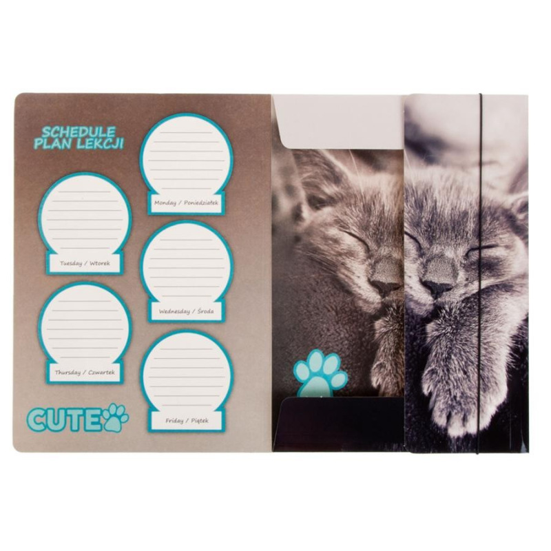 Zakladač s mačkou 2