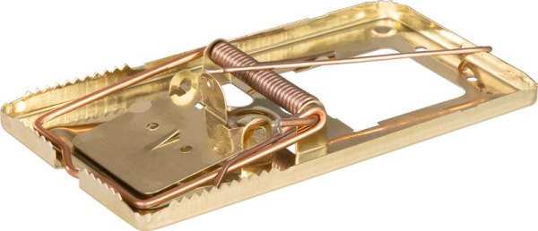Pasca na potkany, kovová, mosadzná, 165x90 mm 1
