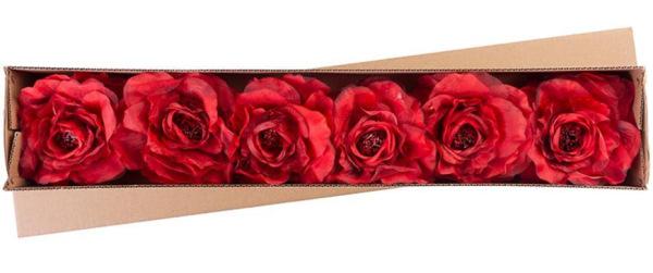 X Kvet MagicHome, pivónia, červená, stonka, veľkosť kvetu: 16 cm, dĺžka kvetu: 24 cm, bal. 6 ks 1