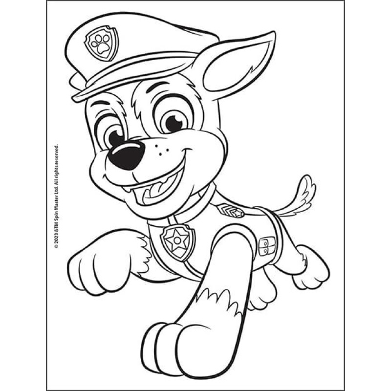 Tetovací set 50+ Labková patrola 1