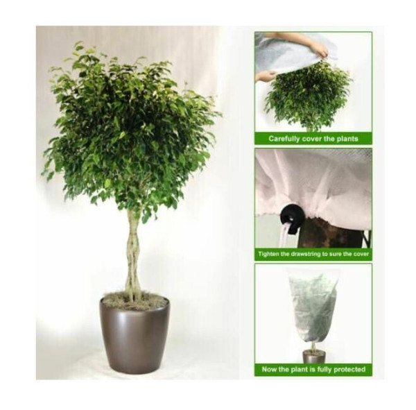 Plant Cover 80x120 ochranný vak na rastliny 5
