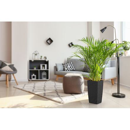 Plastkon Eliot Stone dekoratívny kvetináč 25 x 46 cm antracitová 2
