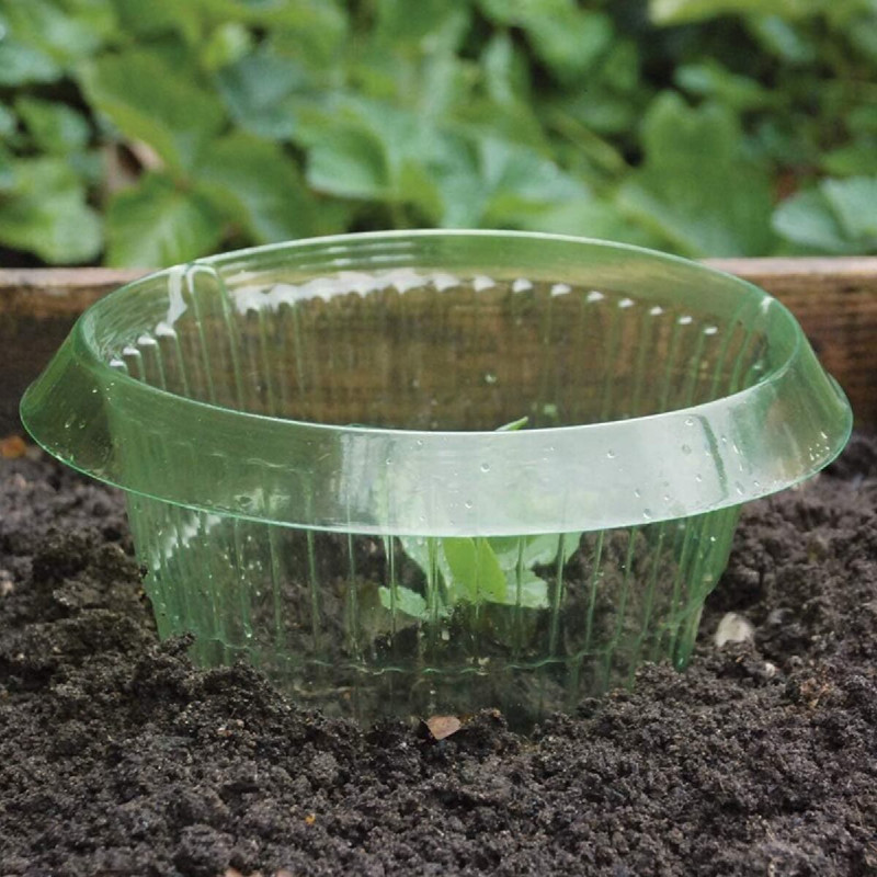 Anti Snail Collar ochranný kryt pre rastliny 12 ks 3