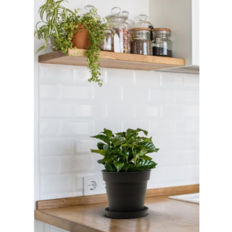 Camelie kvetináč 32 antracitová 1