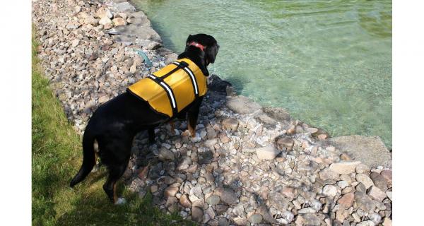 Merco Dog Swimmer plávacia vesta pre psa oranžová, veľ. L