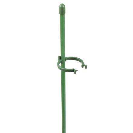 Merco Plant Rod 60 tyčky k rastlinám 10 ks 5