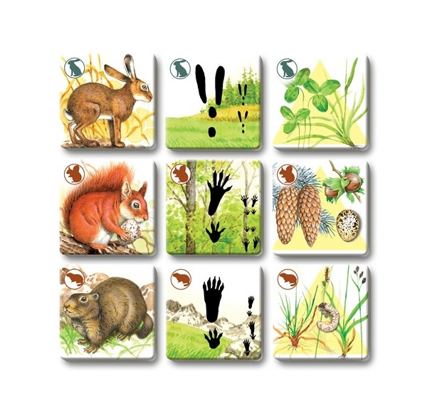 Hra PEXETRIO plus Cicavce 1