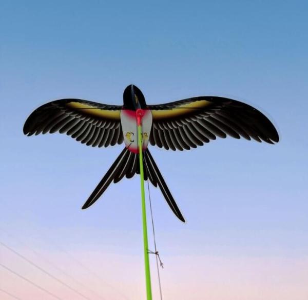 Merco Swallow Kite lietajúci drak