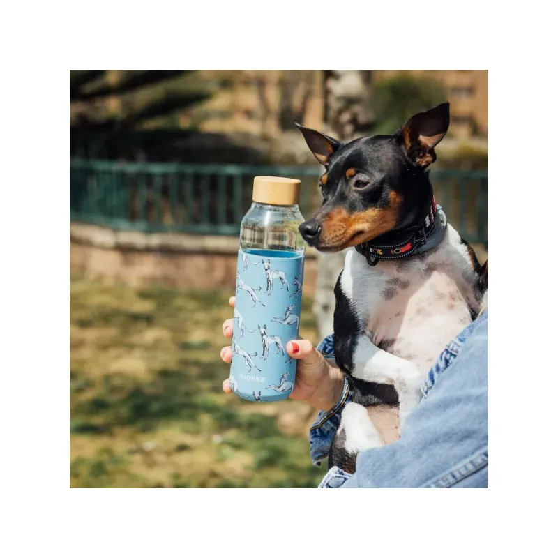 QUOKKA FLOW Sklenená fľaša so silikónovým povrchom GREYHOUNDS, 660ml, 40011