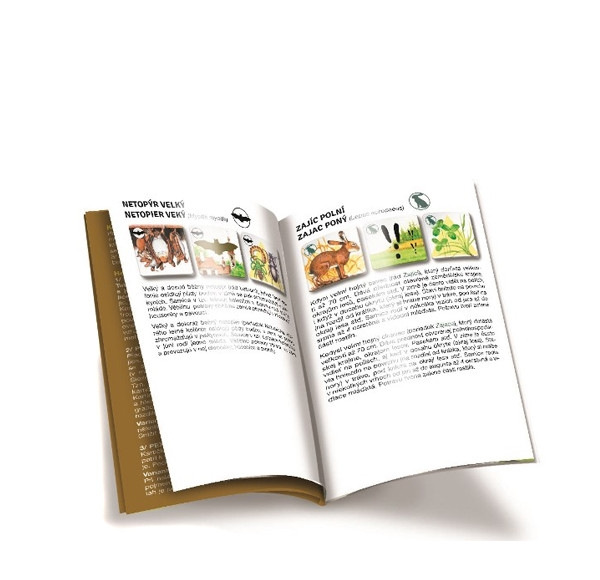 Hra PEXETRIO plus Cicavce 5