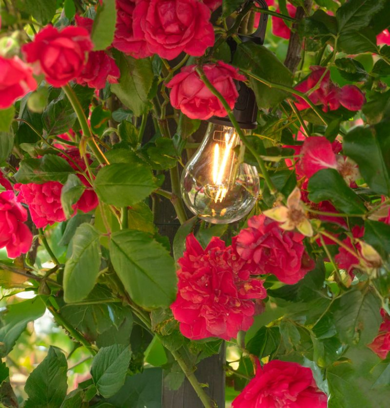 Žiarovka Strend Pro, kempingové, LED, 100 lm, 400 mAh, USB-C nabíjanie, svietidlo, sellbox 12ks 1