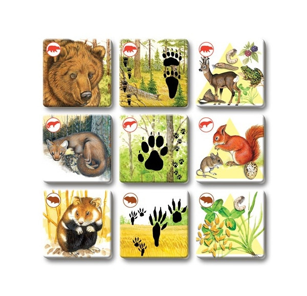 Hra PEXETRIO plus Cicavce 2