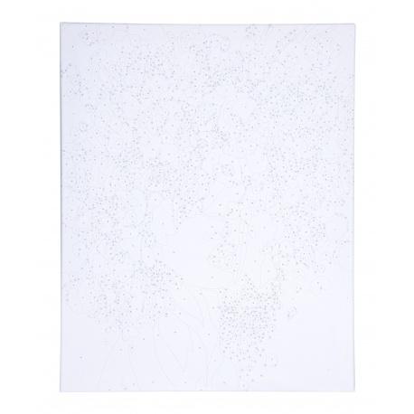 ASTRA Maľovanie podľa čísel PORTRAIT IN FLOWERS, na ráme, 40x50cm, 801022904