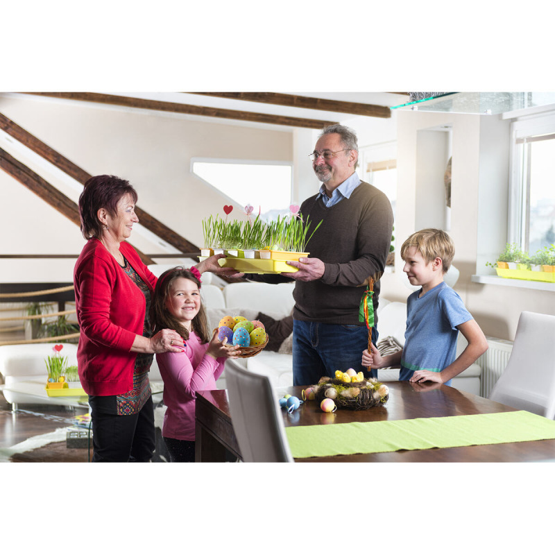 Minigarden 60 Spring Mix kvetináč 3