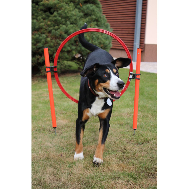 Dog Trainer agility prekážky pre psov 10