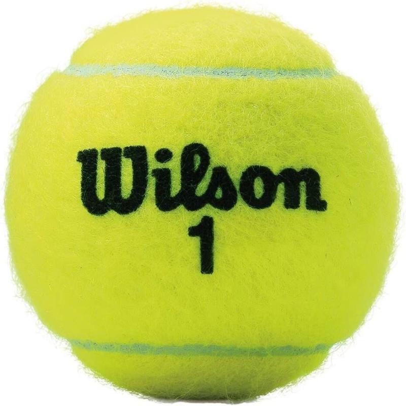 Wilson Championship Extra Duty x72 tenisové lopty