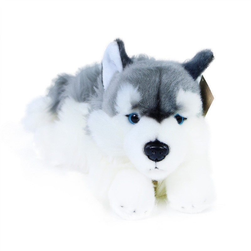 Plyšový pes husky 2