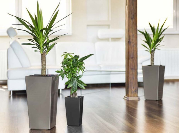 Elise Lesk dekoratívny kvetináč antracitová 1