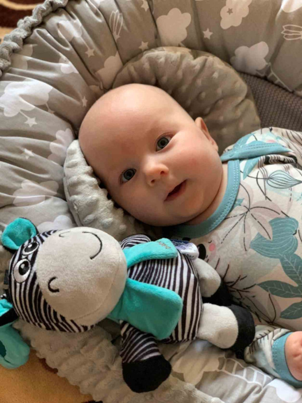 BAZÁRIK Edukačná hrajúca plyšová hračka s klipom Baby Mix zebra 1